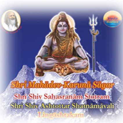 Shri Mahadev-Karuna Sagar <br/>(Shri Shiv Sahasranam Stotram)